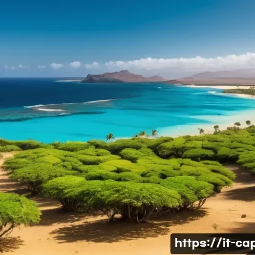 Home 30 카보베르데 날씨 및 기후 - A vibrant landscape of Cape Verde during the dry season, showcasing clear blue skies, warm golden su...