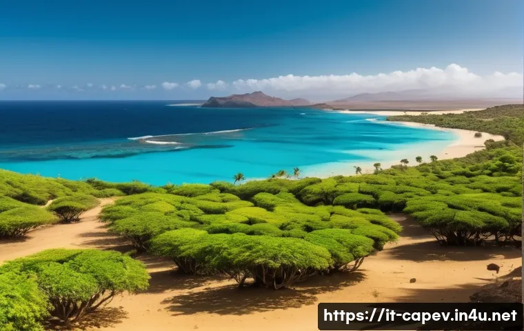 카보베르데 날씨 및 기후 - A vibrant landscape of Cape Verde during the dry season, showcasing clear blue skies, warm golden su...