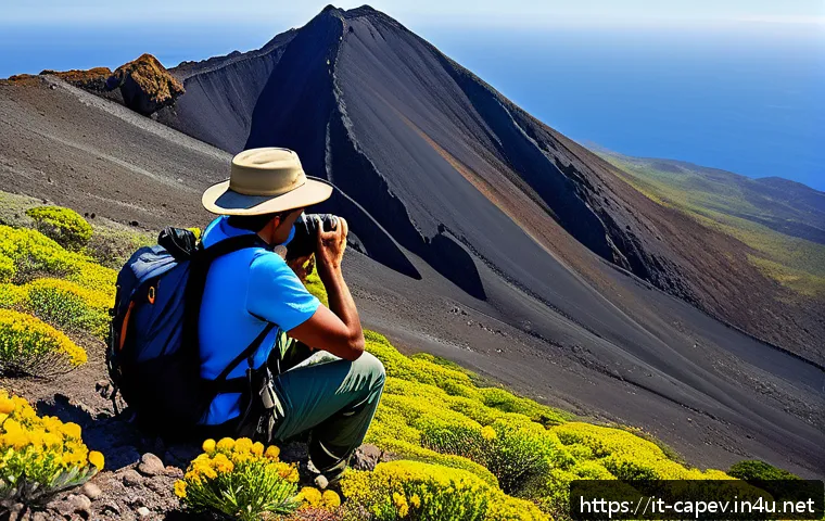 Alla scoperta del vulcano Fogo a Capo Verde: un'avventura tra fuoco e paesaggi mozzafiato 4 카보베르데 포고 화산 탐험 관련 이미지 2