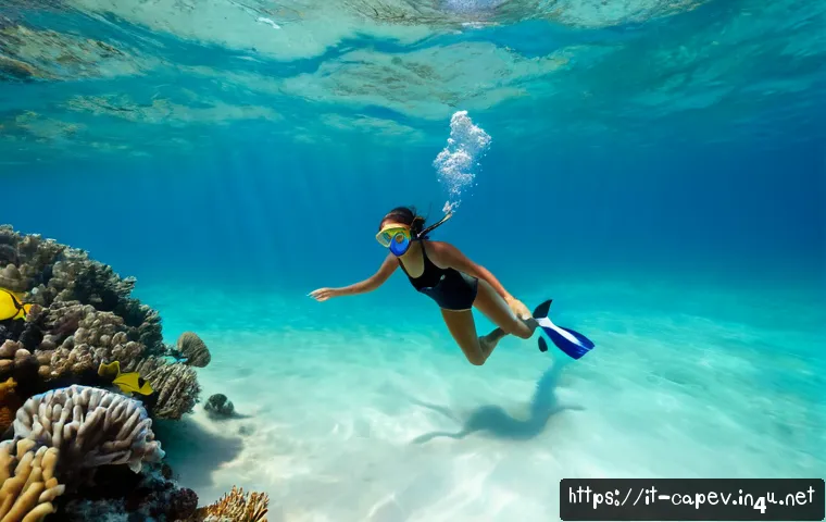 카보베르데 스노클링 명소 - Photorealistic underwater snorkeling scene in Sal, Cabo Verde, an Italian couple wearing modest full...